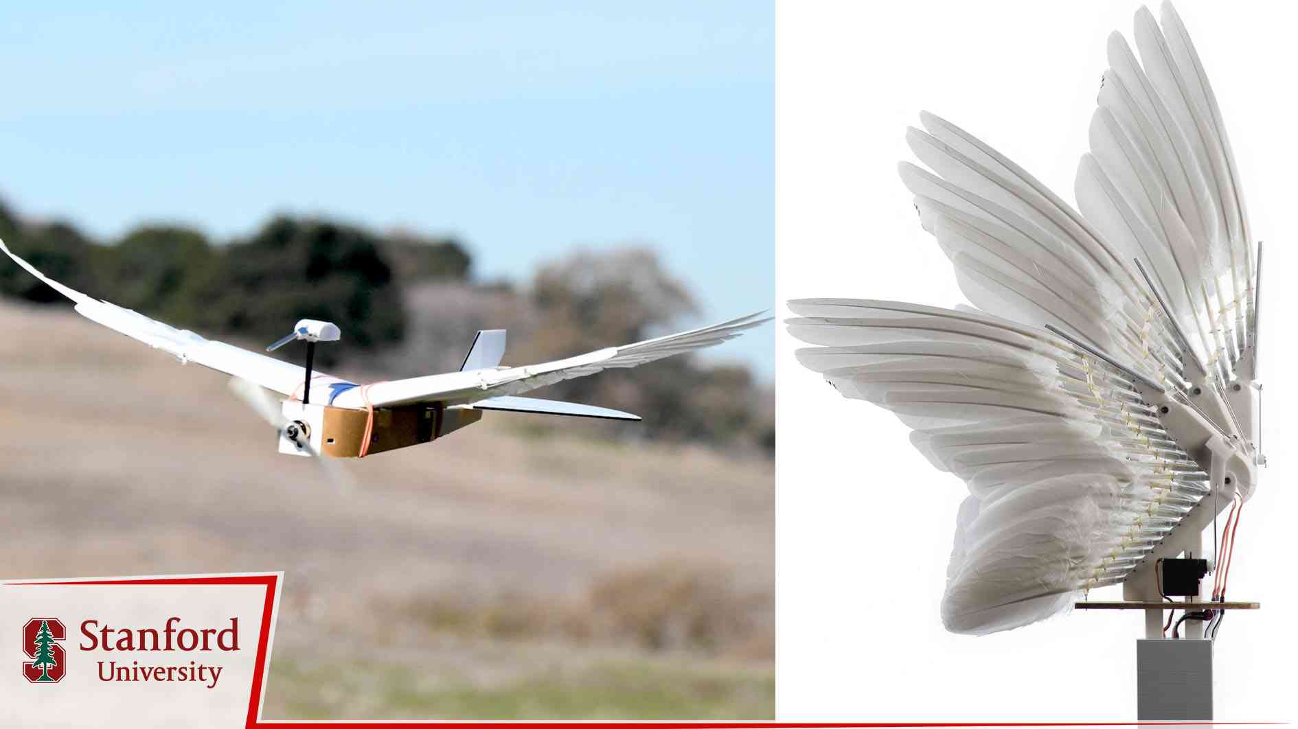 "Güvercin drone" üretildi